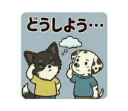 856231618