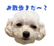 856232476