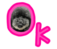 856232761