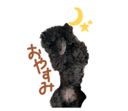 856232766