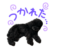 856232770