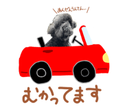 856232781