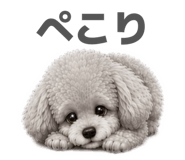 856234291
