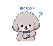 856234464