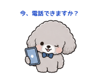 856234477