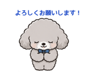 856234483