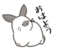 856234865