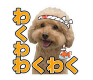 856235852
