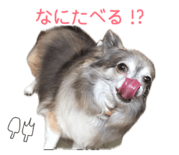 856236520