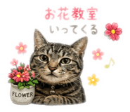 856236720