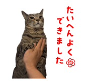 856236790