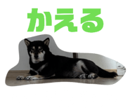 856237316