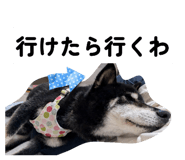 856237318