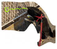 856237327