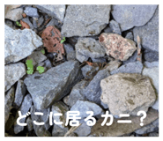 856237329
