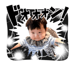 856237644