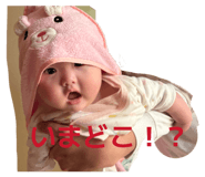 856238012