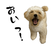 856238487