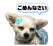 856239765