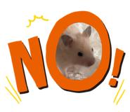856240171