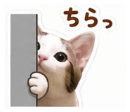 856240473