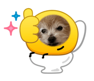 856240553