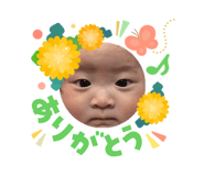 856241156