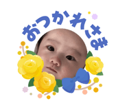 856241165
