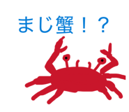 856241313