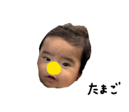 856241908