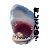 856243340