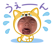 856243426