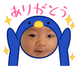 856243950