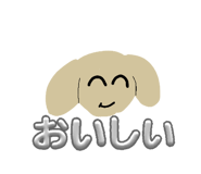 856244209
