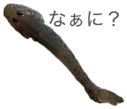 856244434