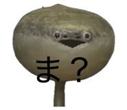 856244435