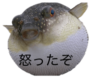 856244436