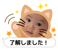 856244955