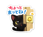 856245195