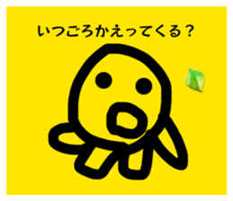 856246764