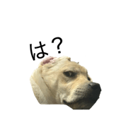 856246833