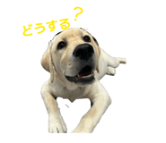 856246835