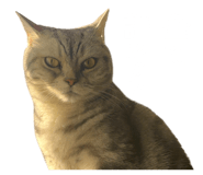 856247184