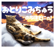 856247188