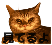 856247189