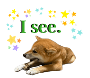 856247356