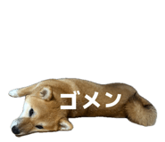 856247371