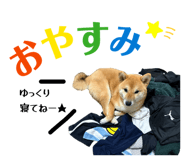 856247372