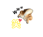 856247374