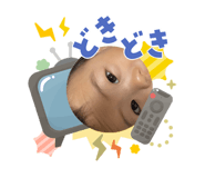 856247407